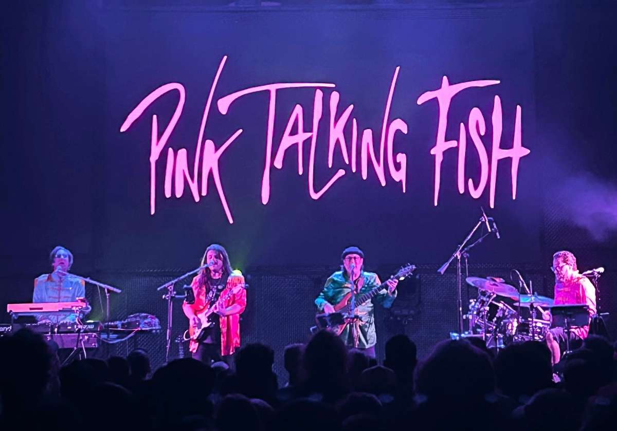 BOTH NIGHTS: Pink Talking Phish